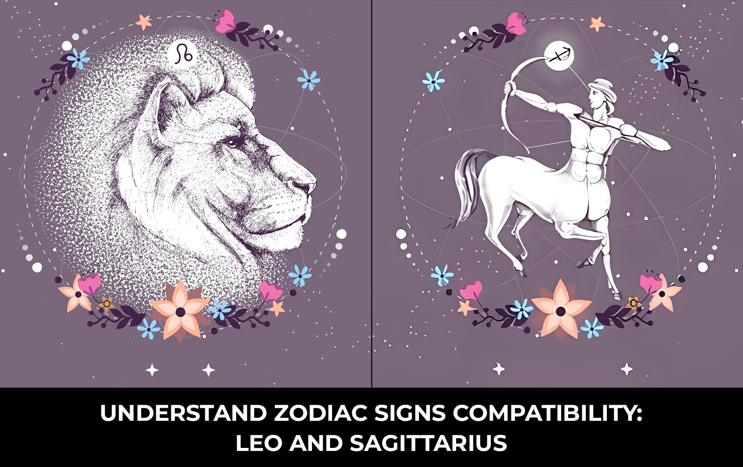 Understand Zodiac Signs Compatibility: Leo and Sagittarius