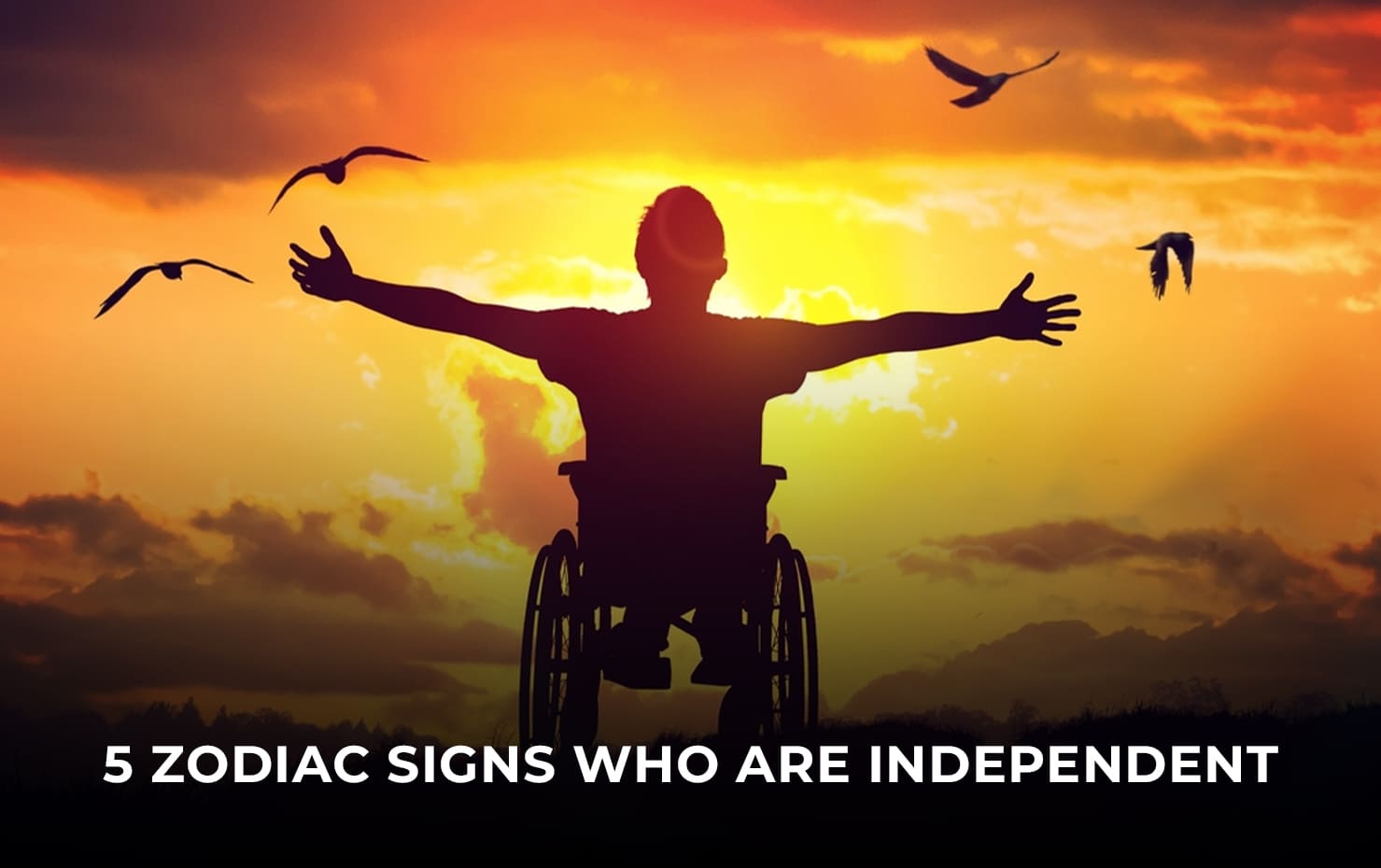 5 Zodiac Signs Who Are Independent