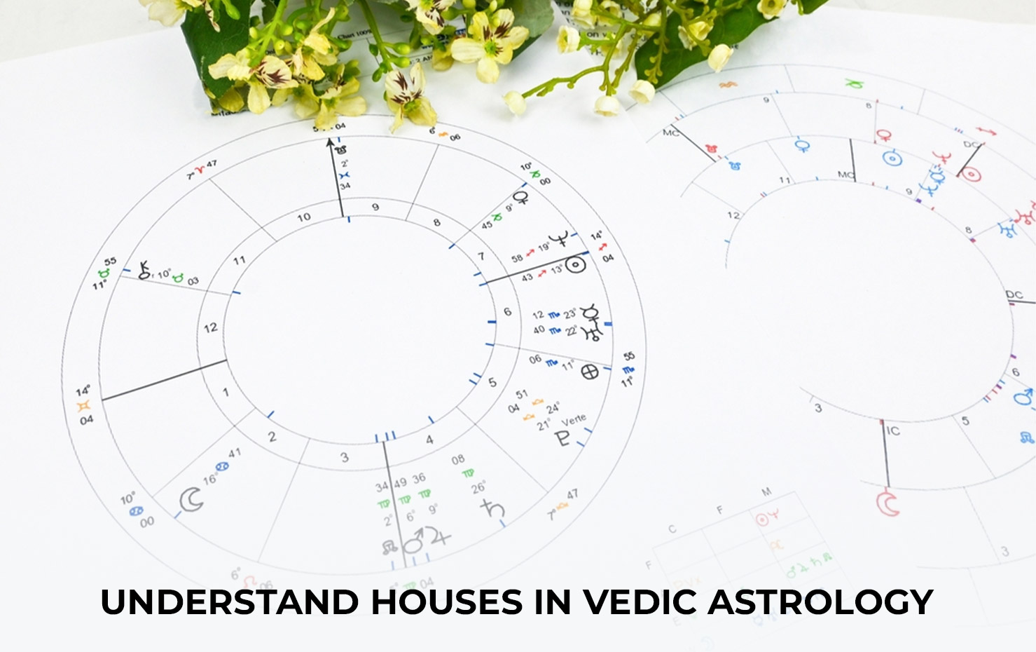 Understand Houses in Vedic Astrology
