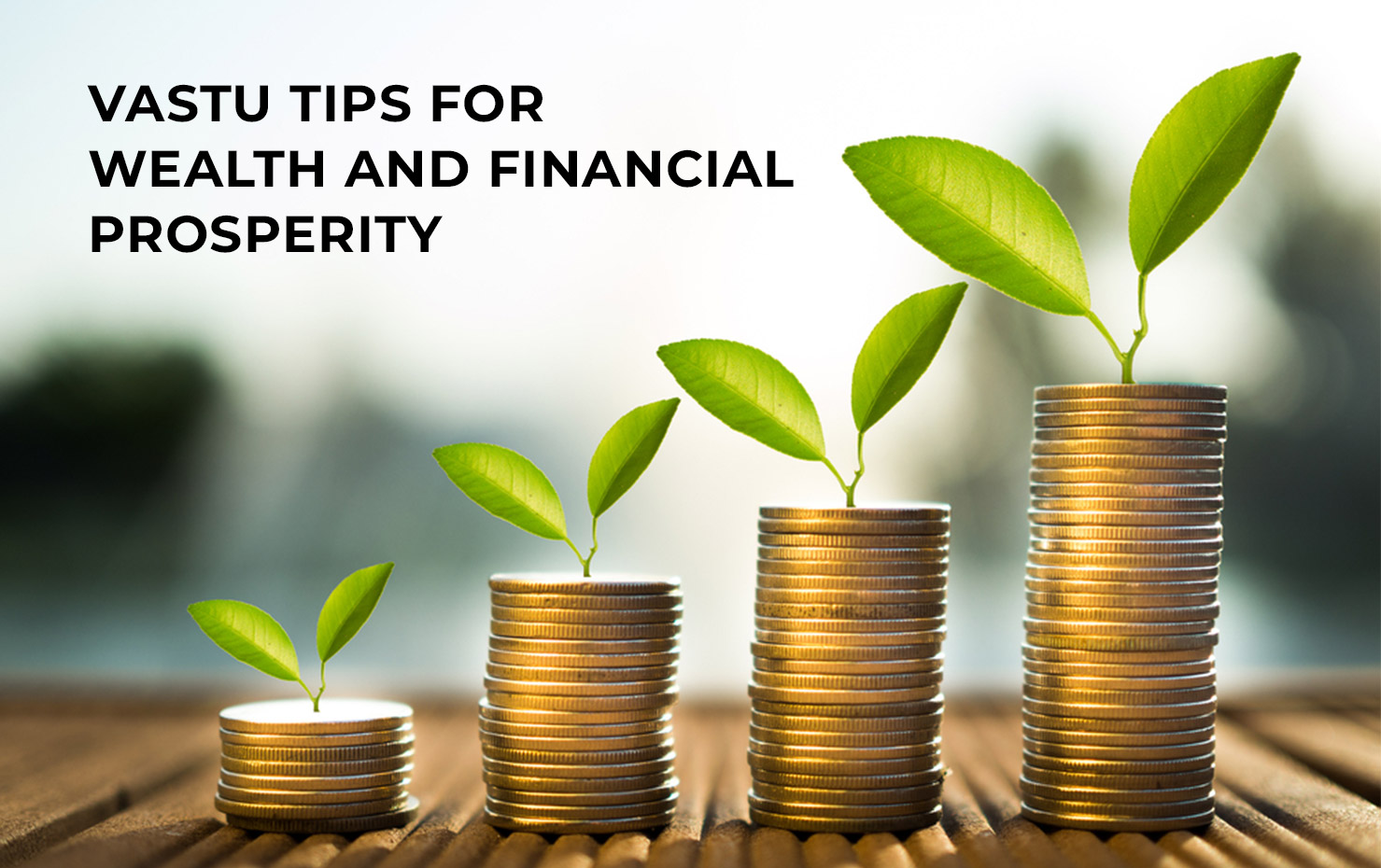 Vastu Tips for Wealth and Financial Prosperity
