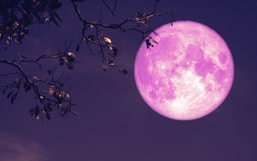 Witness the wonder: Pink Moon 2024