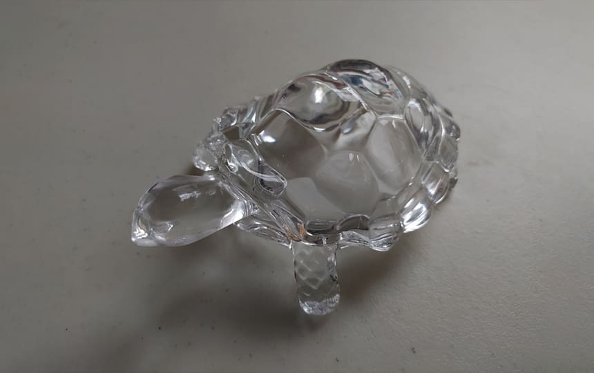 Should we keep crystal tortoise in water