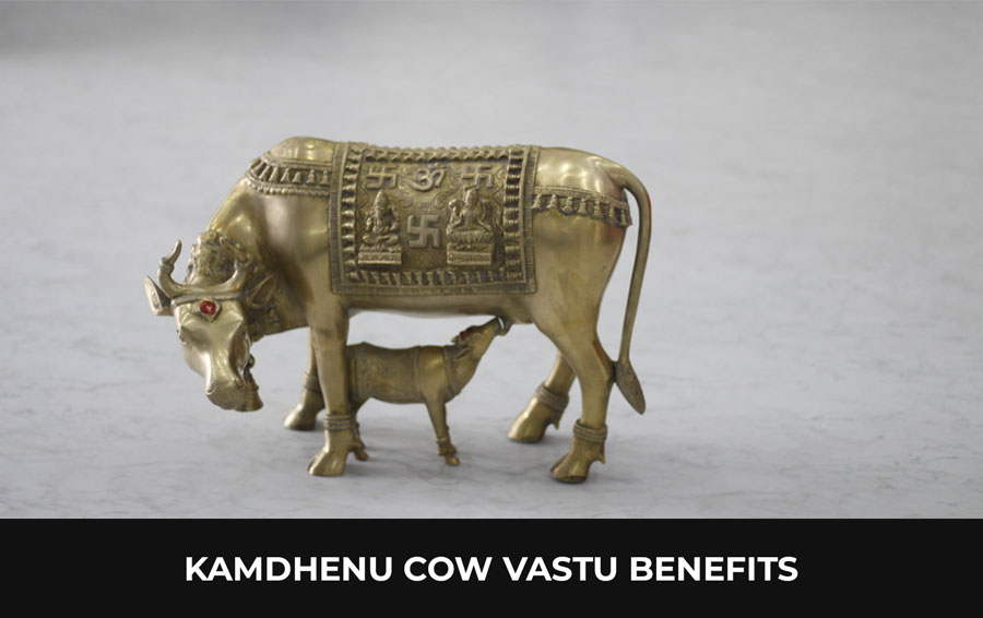 kamdhenu cow vastu benefits