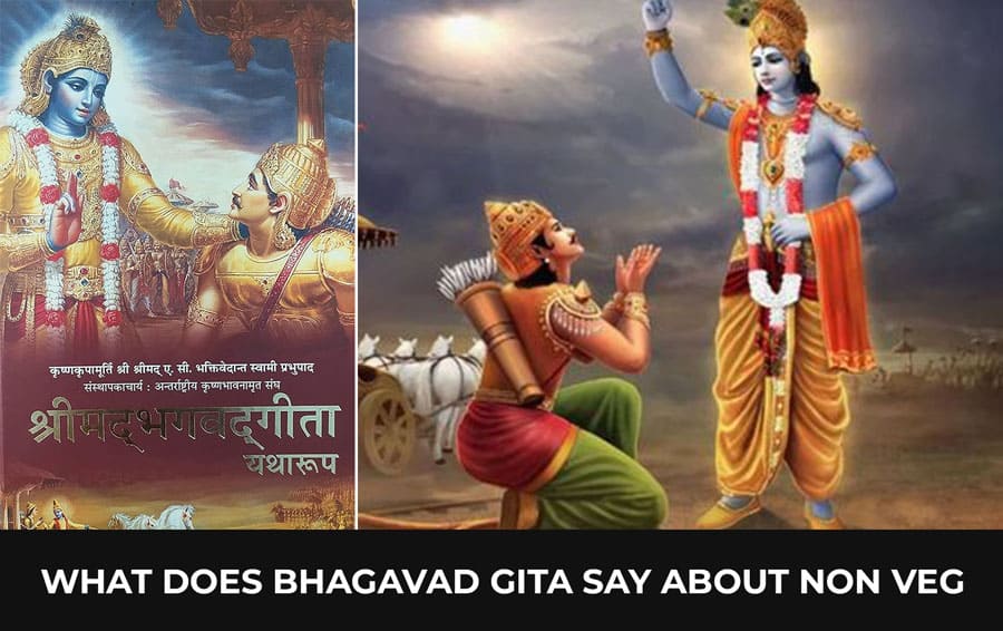 What does Bhagavad Gita say about non veg