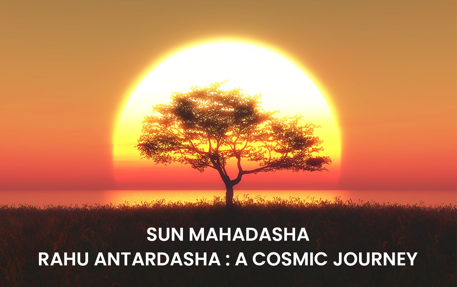 Sun Mahadasha Rahu Antardasha : A Cosmic Journey