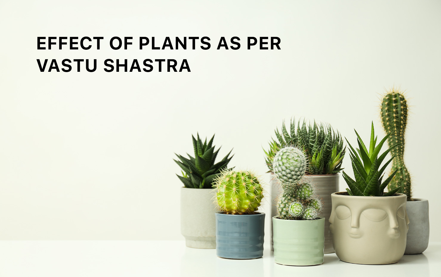 Effect Of Plants As Per Vastu Shastra