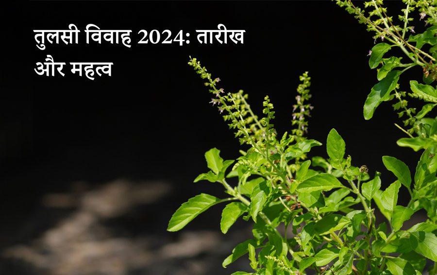 तुलसी विवाह 2024: तारीख और महत्व