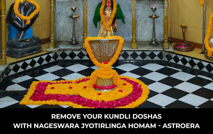 Remove your Kundli Doshas with Nageswara Jyotirlinga Homam - AstroEra