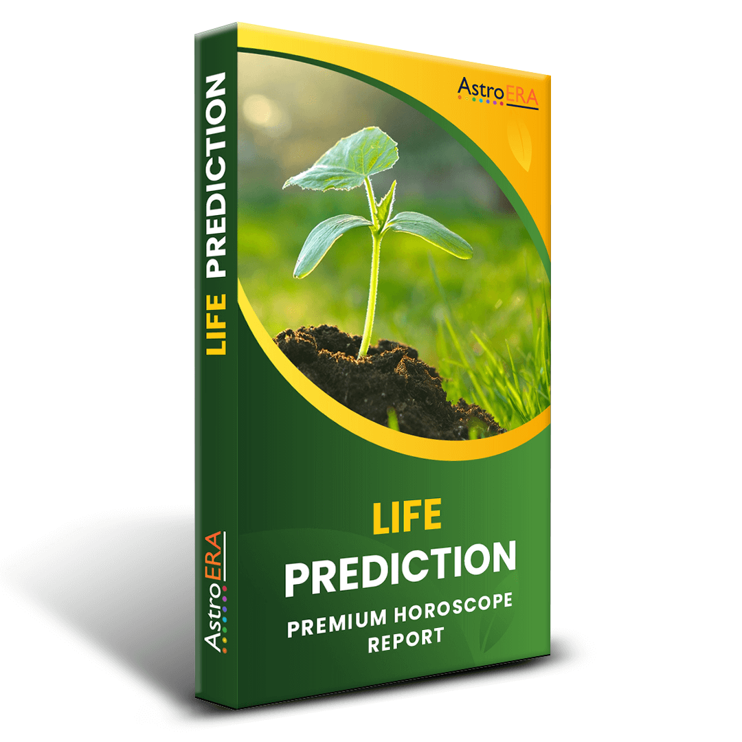 Life Prediction