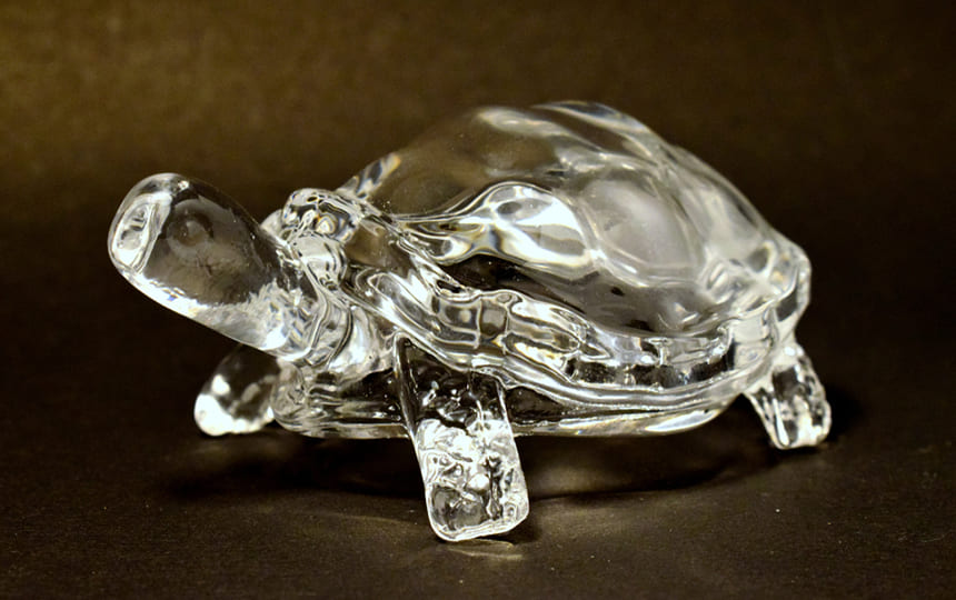 Should we keep crystal tortoise in water - Free chat with astrologer