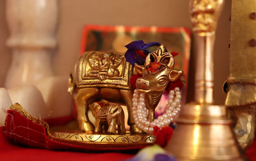 kamdhenu cow vastu benefits