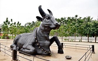 Lord Nandi Pooja